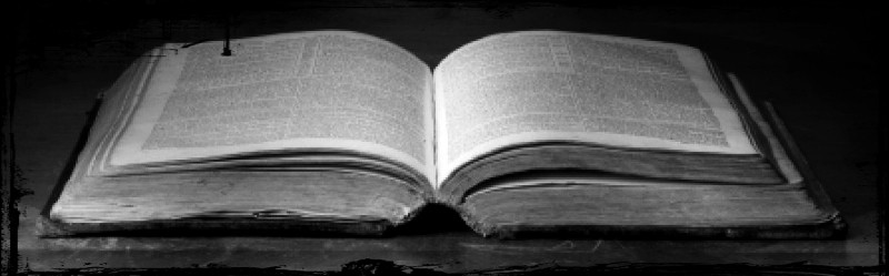 Człowiek jednej książki.