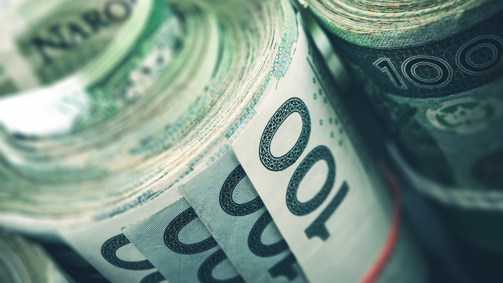 Zdjęcie Nowe kryteria 800 Plus! O jakim warunku należy pamiętać? #1