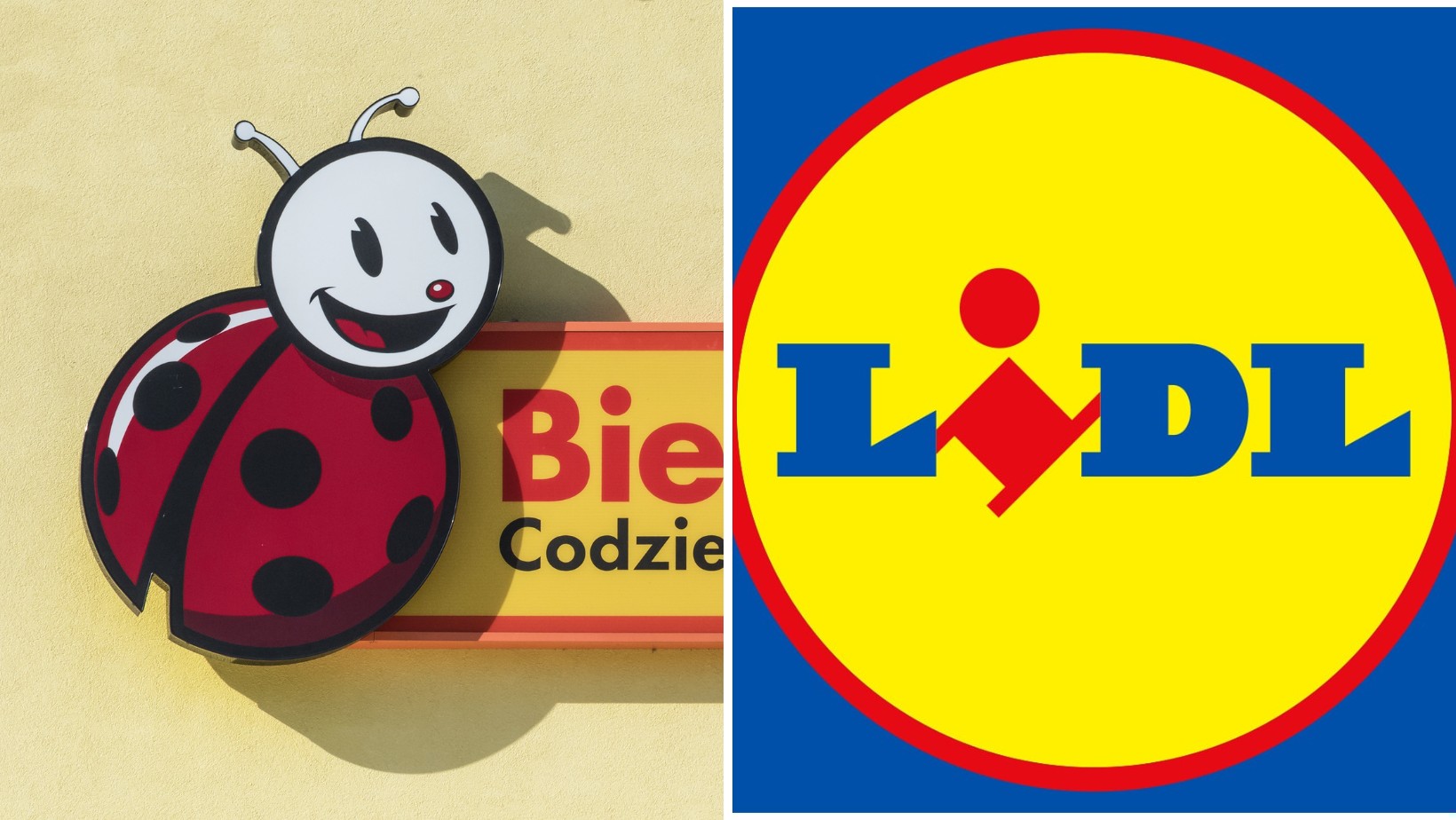 Biedronka i Lidl doliczą klientom dodatkową opłatę!