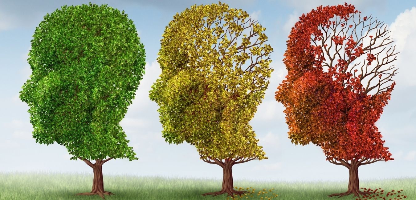 Czy można opóźnić starzenie się mózgu? Tak! Są na to 3 sposoby.