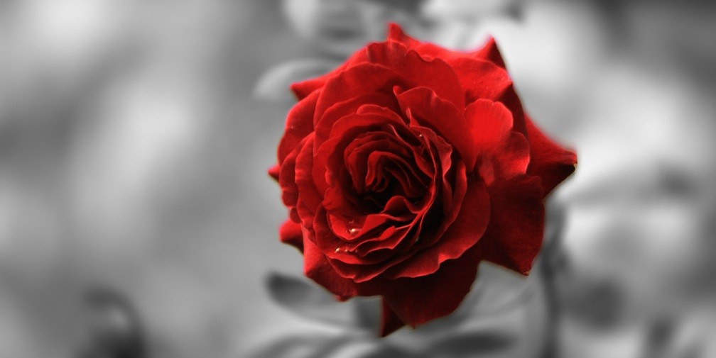 Hej! Właśnie wbiłam Ci nóż w plecy, a teraz pozwól …