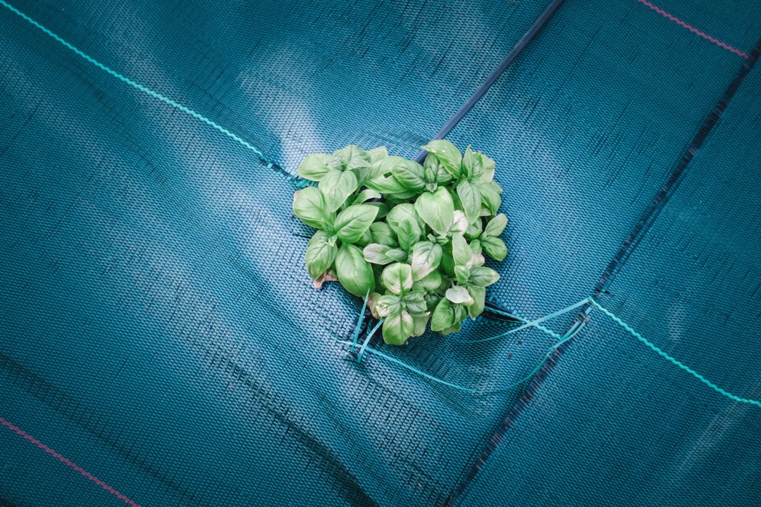 Tragedią starości nie jest to, że człowiek się starzeje, lecz …