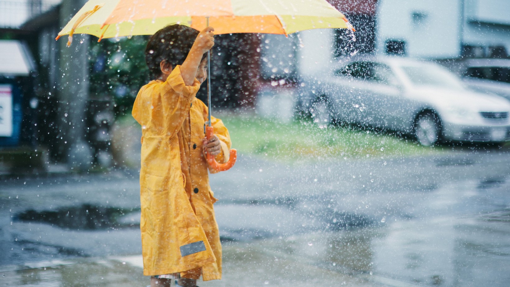 Zdjęcie Szok pogodowy w Polsce! Już w weekend śnieg, burze i arktyczne zimno #1