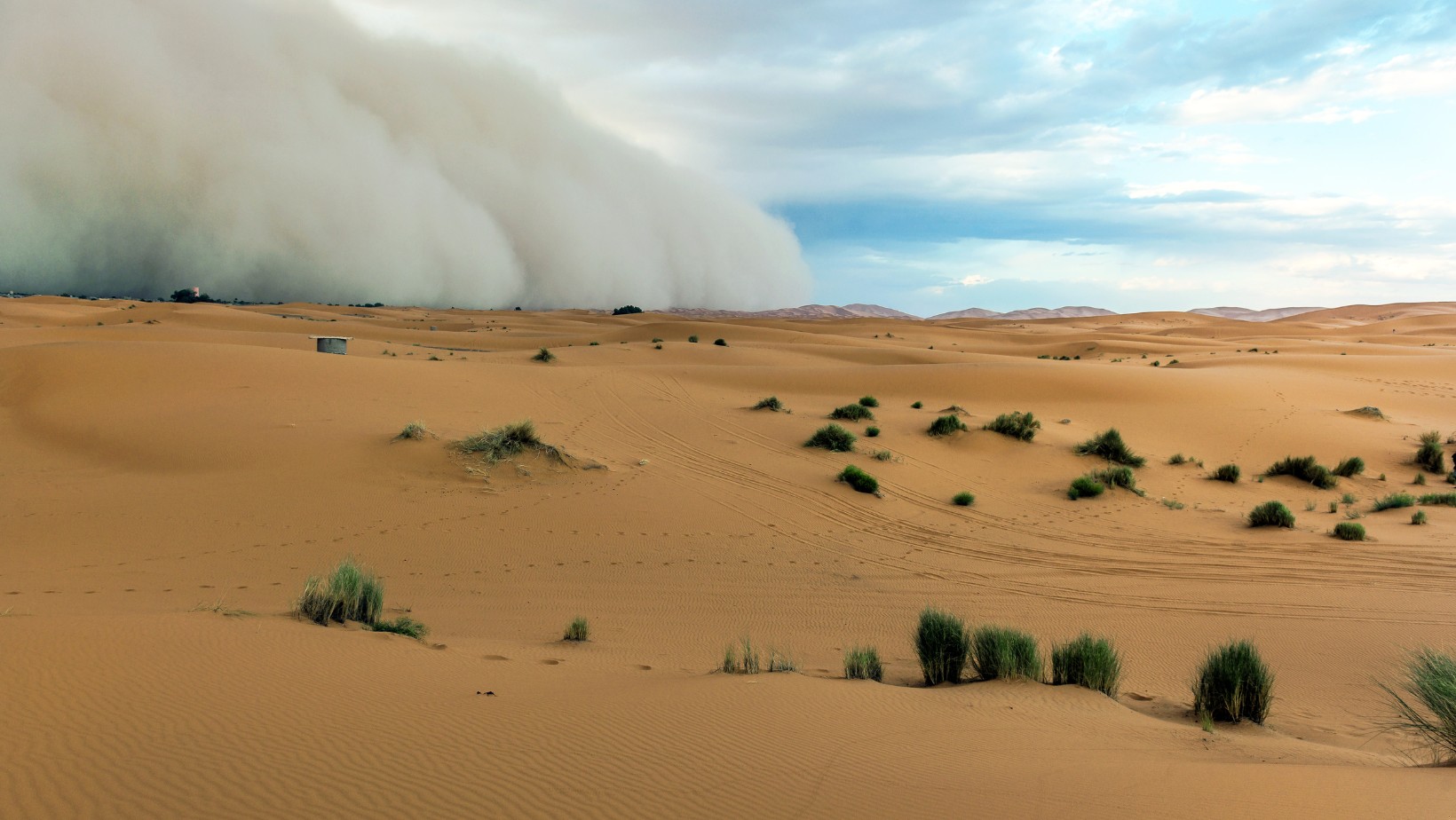 Pył saharyjski zderzy się nad Polską z cyklonem! Te osoby powinny uważać