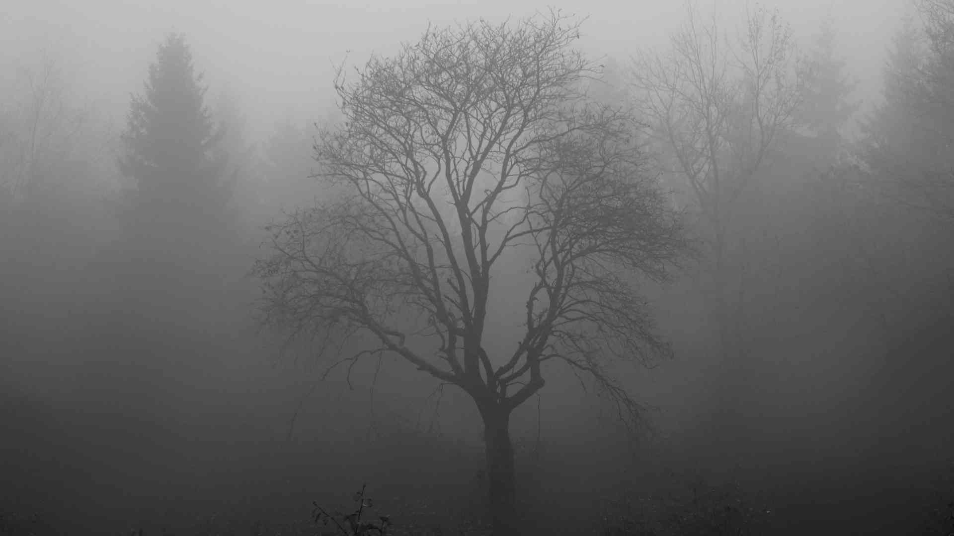 Czym jest sezonowa depresja i jak sobie z nią radzić?