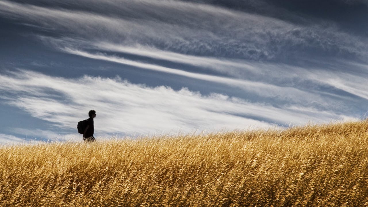 Odwaga nie polega na nieodczuwaniu strachu, ale na umiejętności działania …