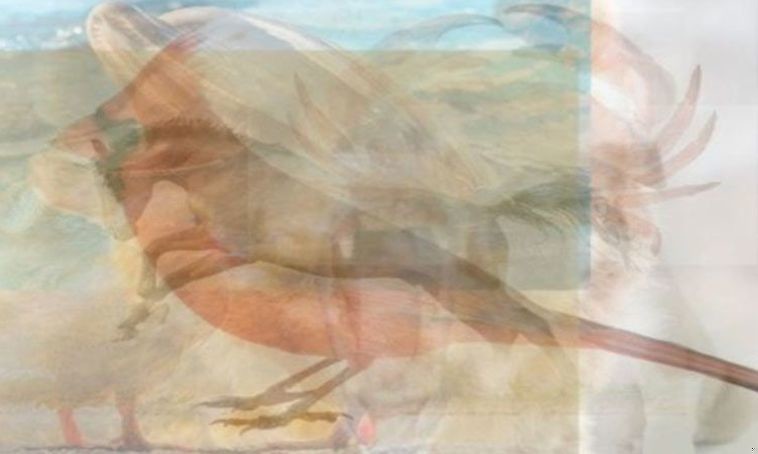 Zdjęcie Pierwsze zwierzę ujrzane na zdjęciu zdradzi to, co tak naprawdę pragniesz w związku #1