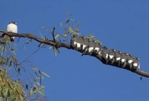 Przykro nam, nie pasujesz do nas. Nic nie szkodzi. To …