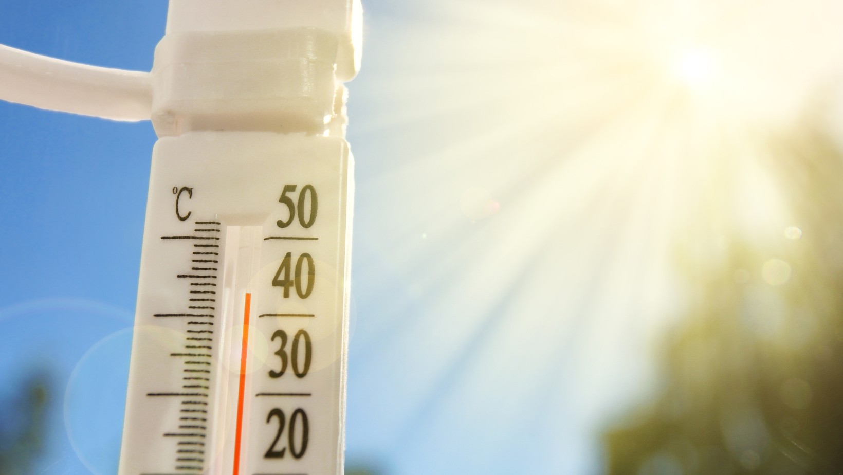 Zdjęcie Antycyklon Ines wkracza nad Polskę! Drastyczna zmiana pogody #1