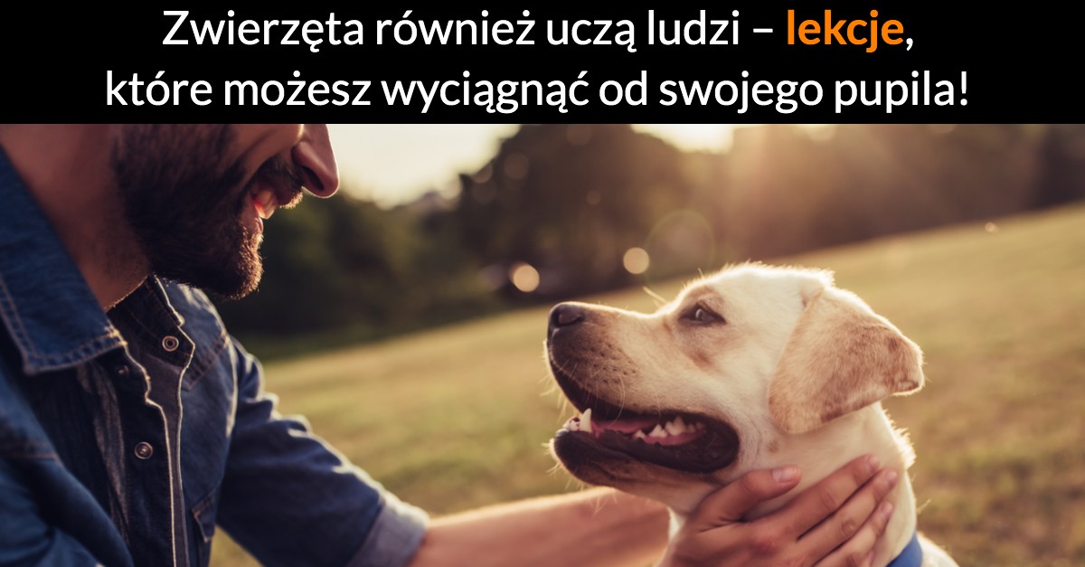Zwierzęta również uczą ludzi – lekcje, które możesz wyciągnąć od swojego pupila!