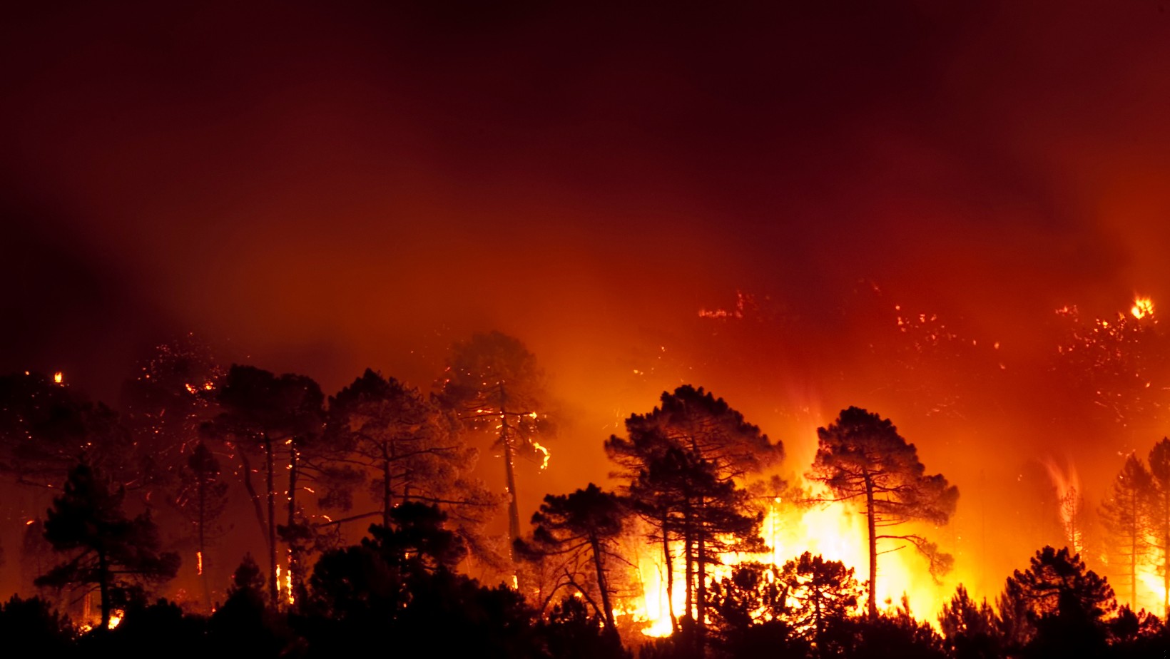 Tragiczne pożary w Hiszpanii – jedna ofiara śmiertelna, tysiące osób zmuszonych do ucieczki!