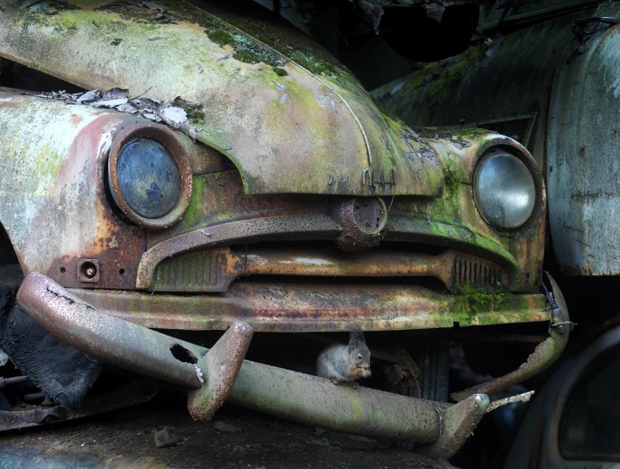 Historię piszą zwycięzcy- mówię cicho- Kiedy to wszystko się skończy, …