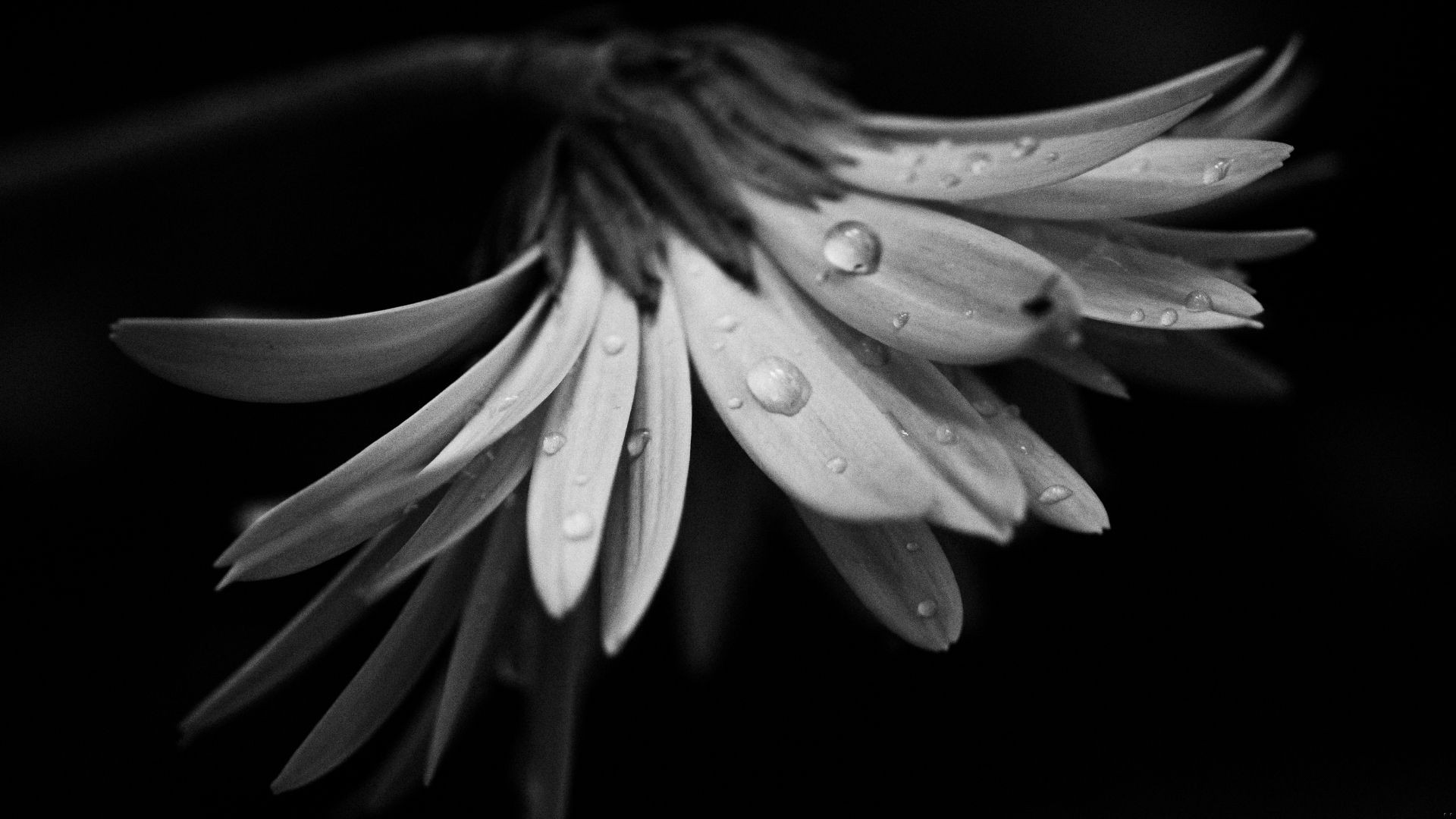 Rozmawiajmy z bliskimi za życia – bo przyjdzie moment, kiedy