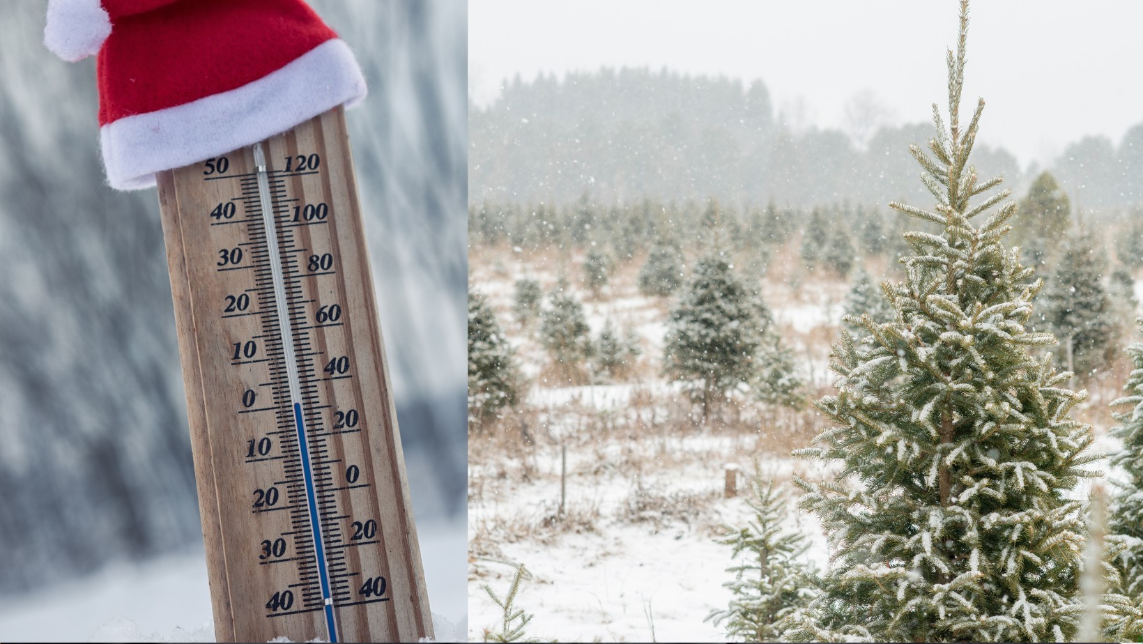 Zdjęcie Jaka pogoda będzie na święta Bożego Narodzenia? Jackowski to przewidział #1