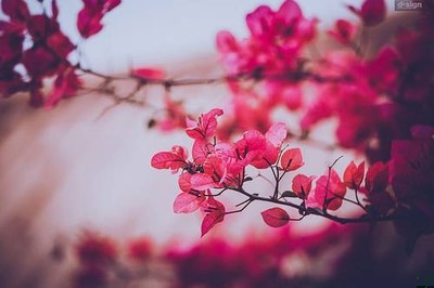 Jeżeli chodzi o miłość, nie może być mowy, by było …