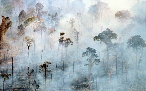 Wiedział, że różne są oblicza strachu. Człowiek boi się tylko …