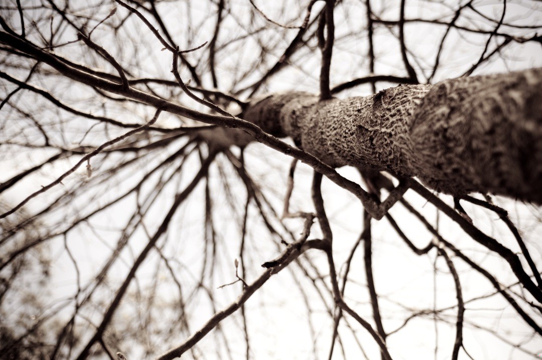 Nienawidzę komputerów. Nie mówią prawdy.