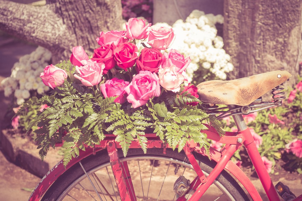 Jakże często człowiek znajduje urodę tam, gdzie najmniej by się …