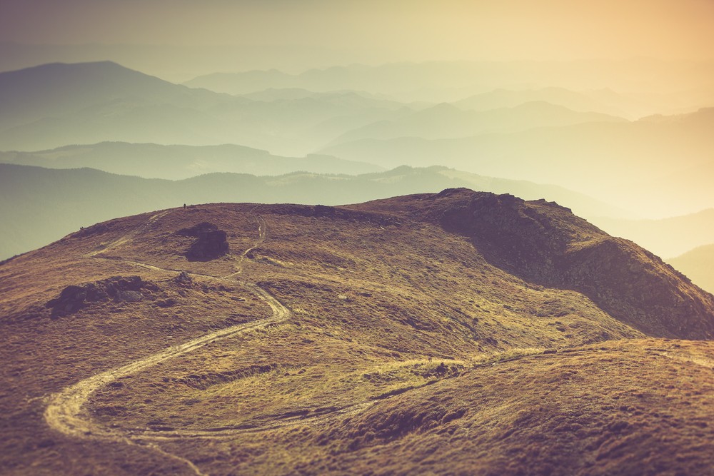 Możesz ufać naturze, ale nie człowiekowi.