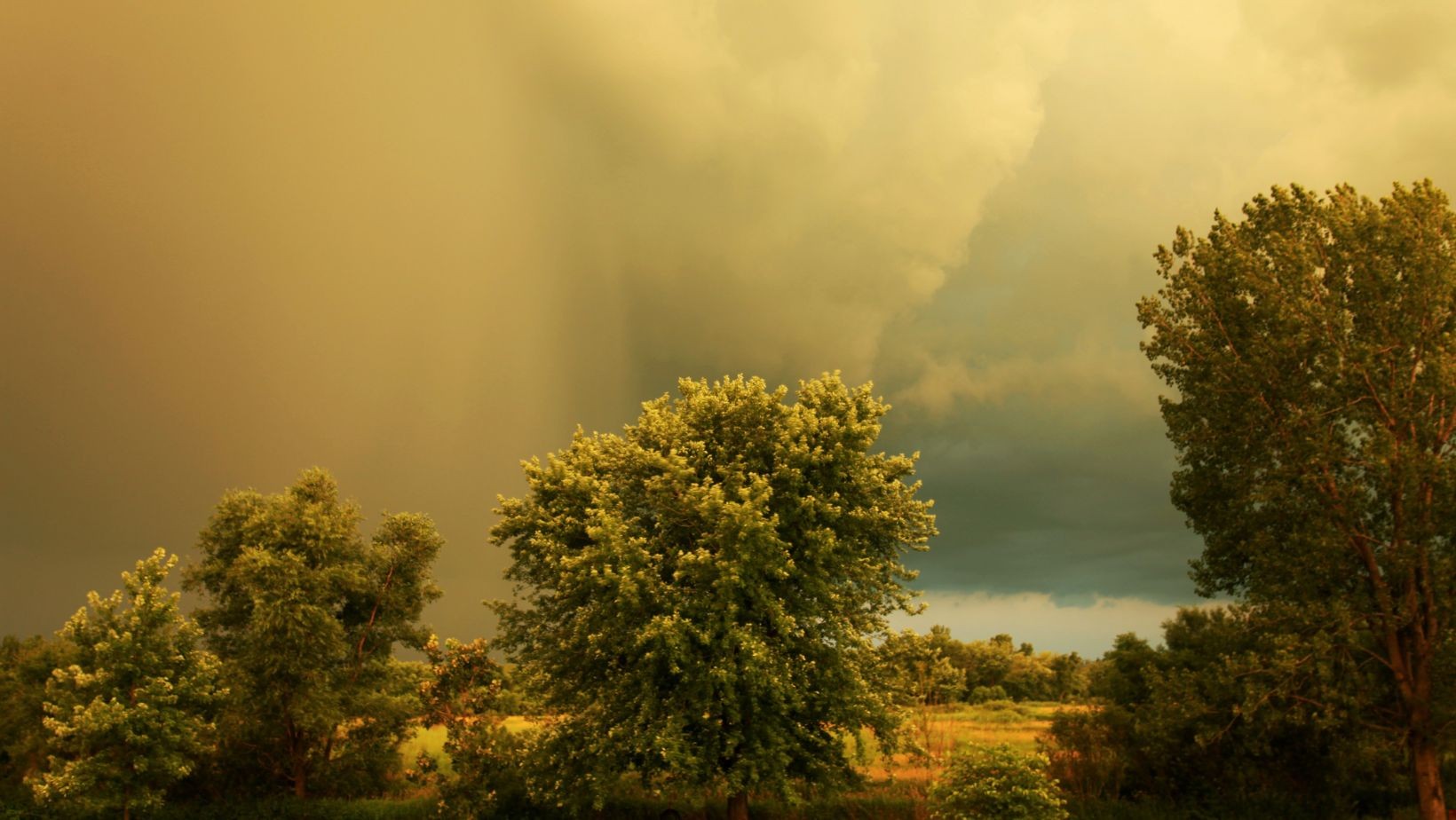 Ostrzeżenie dla kilku województw! Niebezpieczeństwo wraca