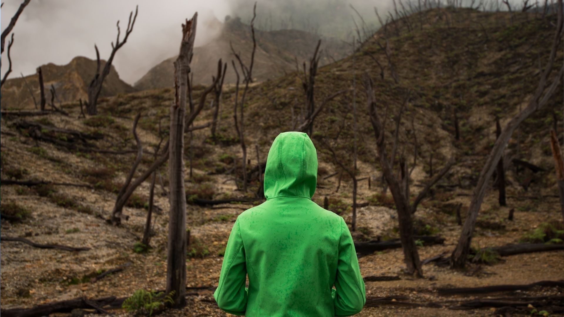 4 typowe cechy osób o wysokiej wrażliwości. Również dzieci je przejawiają!