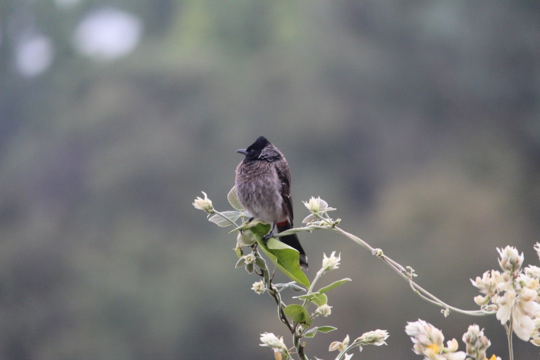 Kłopoty są po to, żeby je usuwać.
