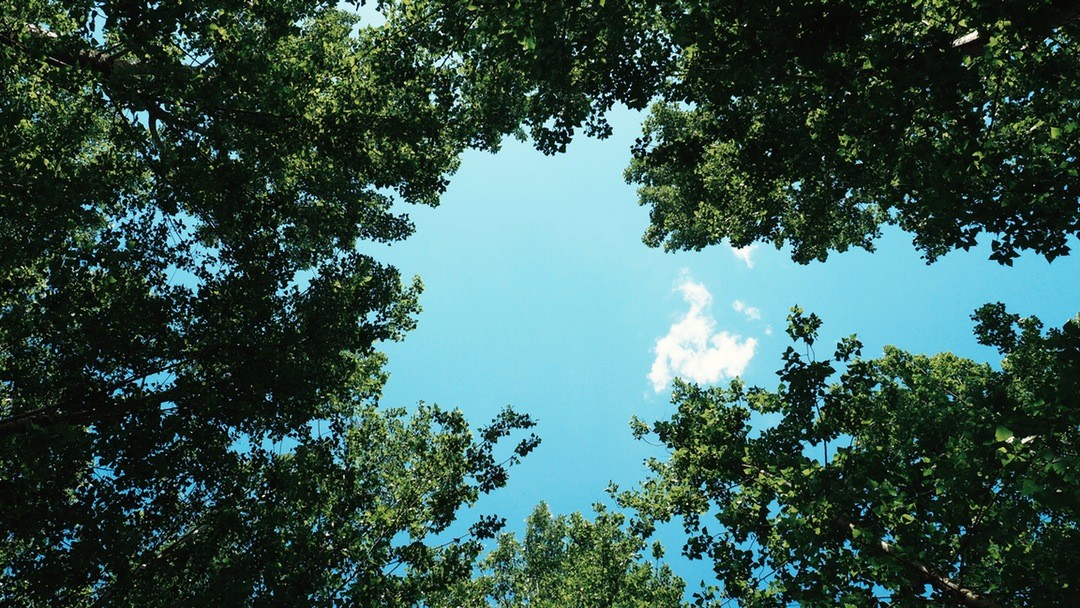 Time is what we want most, but what we use …