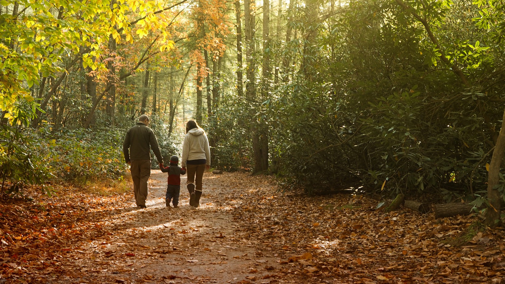 Dlaczego jesień jest najtrudniejszym okresem dla Twojej rodziny? Zaskakujące fakty