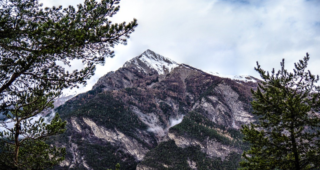 Milutkie stworzenie. Żeby było moje, to bym zabił.