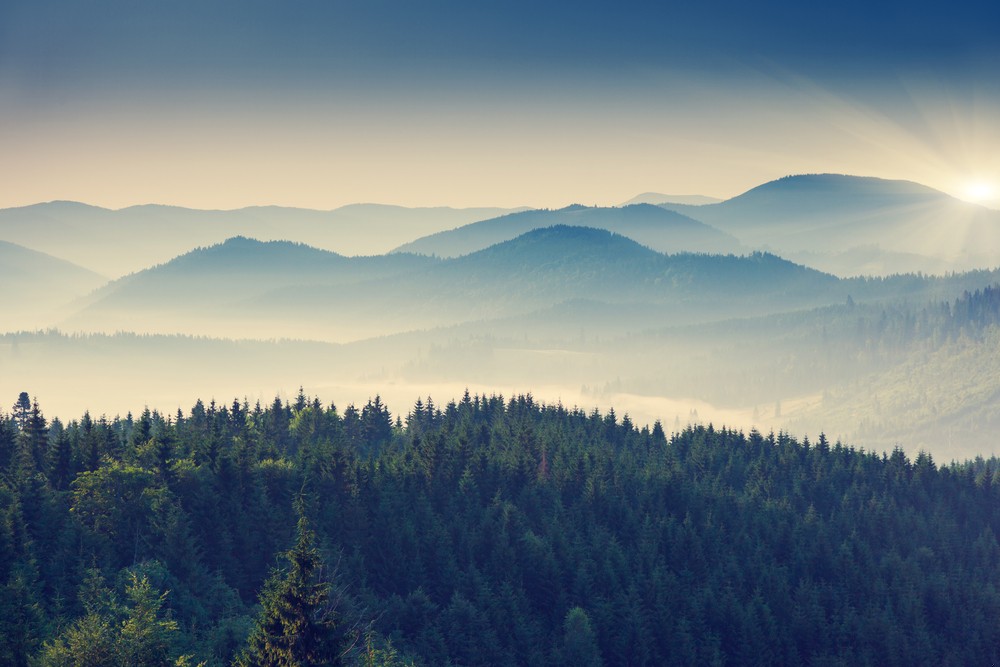 Tam sięgaj, gdzie wzrok nie sięga; Łam, czego rozum nie …
