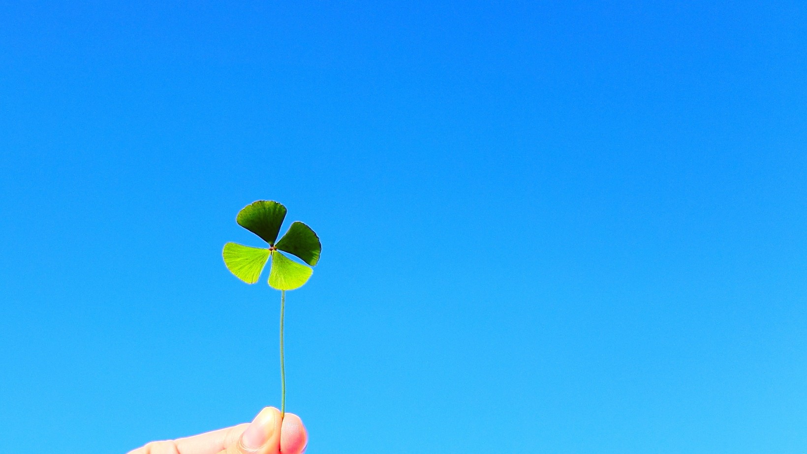 Wystarczy zrobić tę jedną rzecz w Boże Ciało. Odgonisz pecha na cały rok
