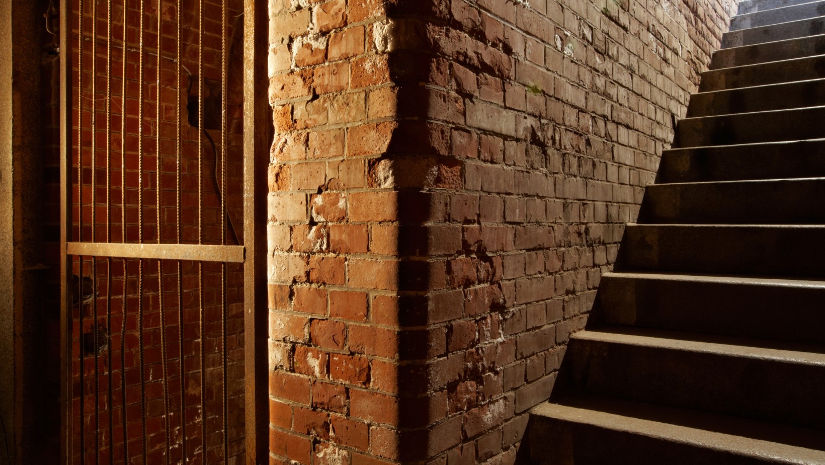 Trzymasz te rzeczy w piwnicy?! Za ich przechowywanie grozi kara do 5 tysięcy złotych!