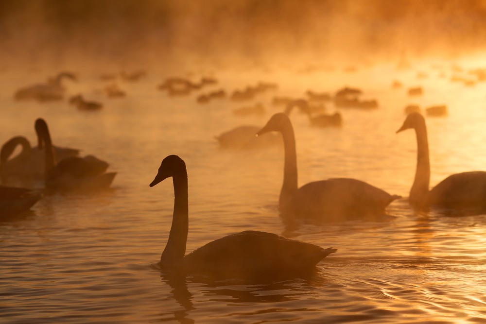Bliskość fizyczna dla ludzi bez zobowiązań nie jest zobowiązująca.