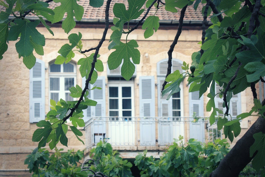 Życie składa się z bólu i przemocy, samotności i niezrozumienia.