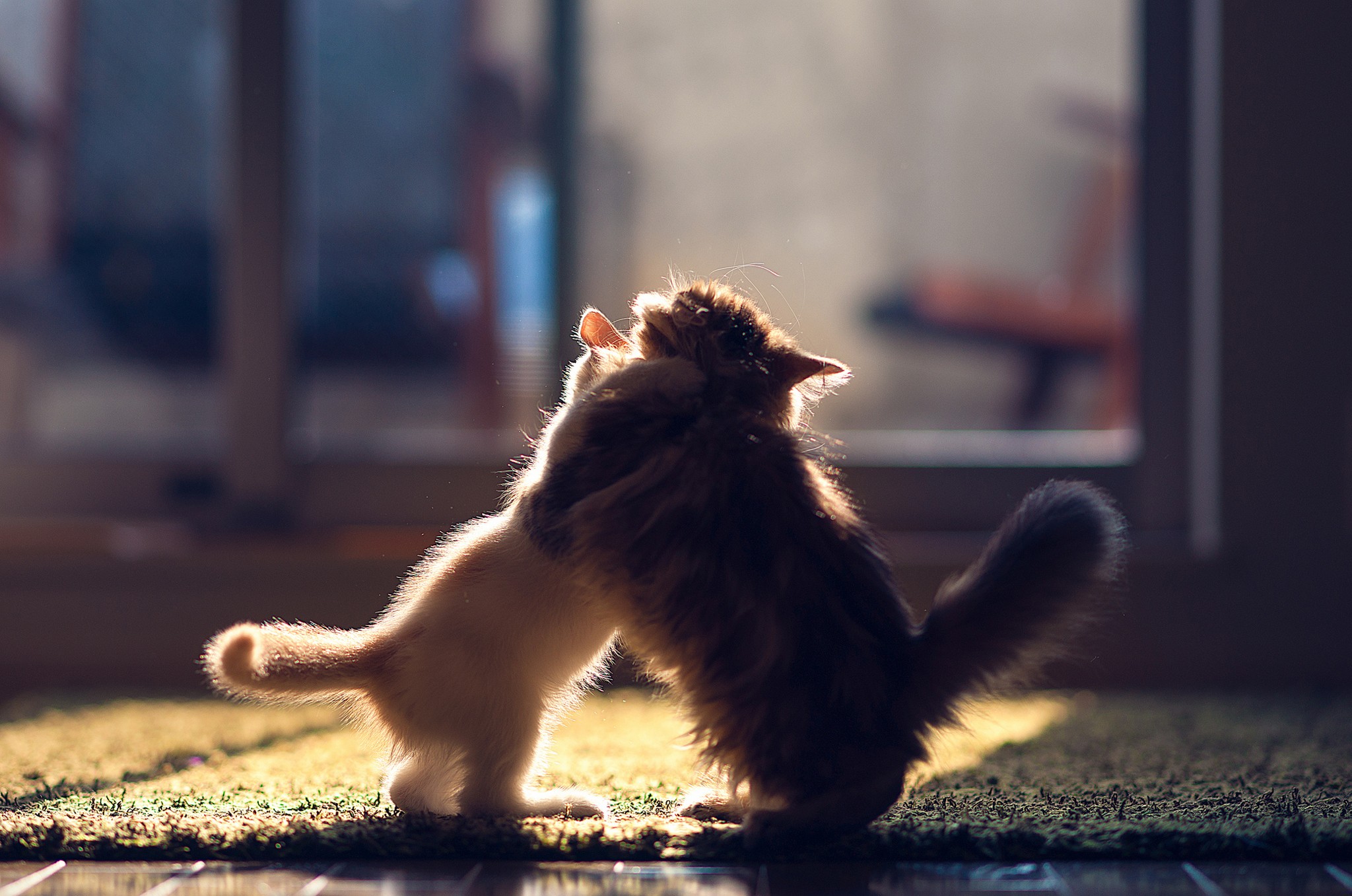 Nie żałuj czasu na przyjaźń, to droga do szczęścia.