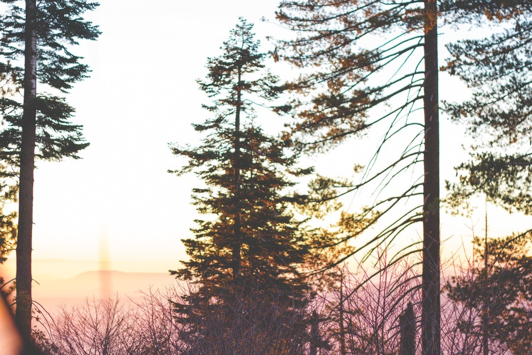 Nie sposób być ojcem lub matką, nie powodując niekiedy łez.