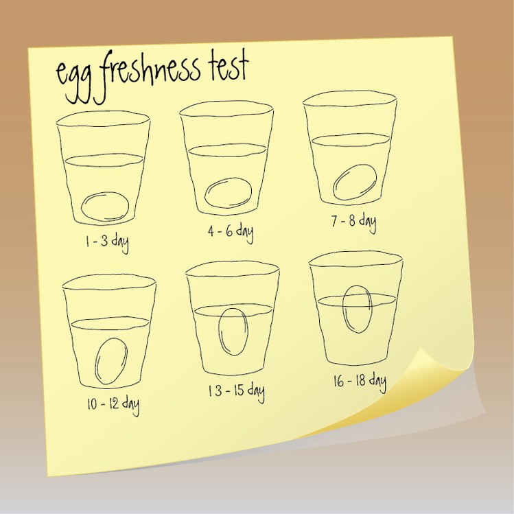 Zdjęcie Zobacz jak obchodzić się z JAJKIEM. Najciekawsze porady! #1