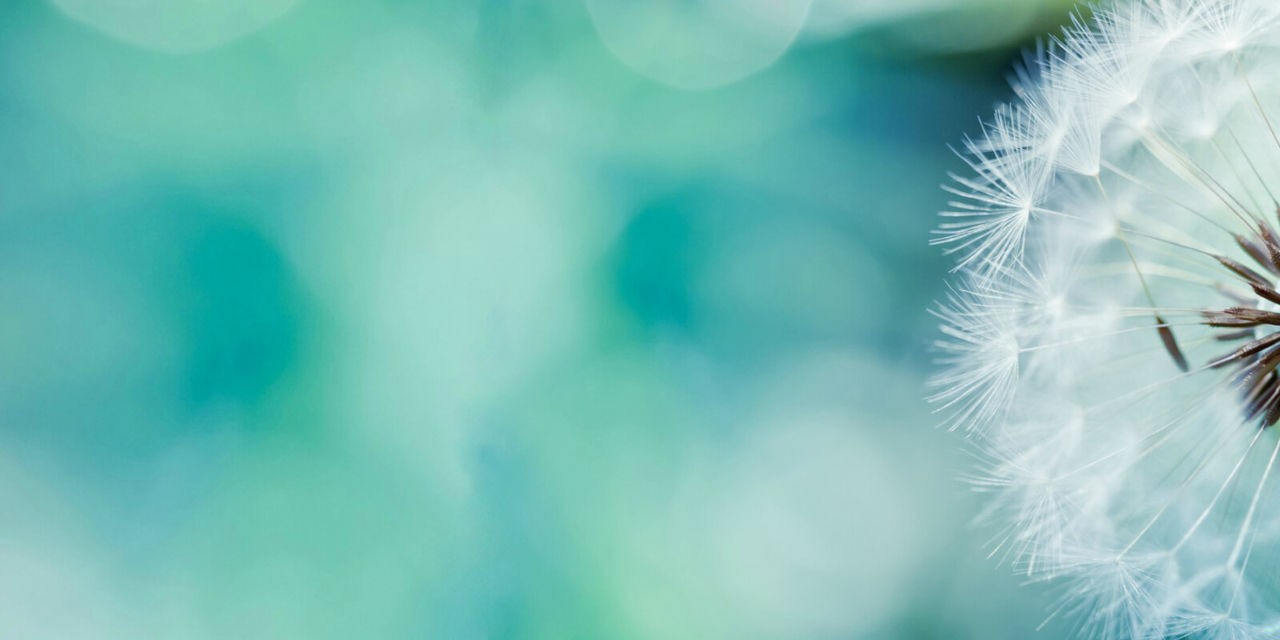 Kto raz opuści granice swojego świata, nie powinien liczyć na …