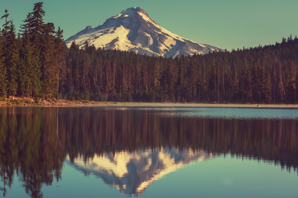 Muzyka jest moim osobnym światem. Światem, w którym jestem sobą. …