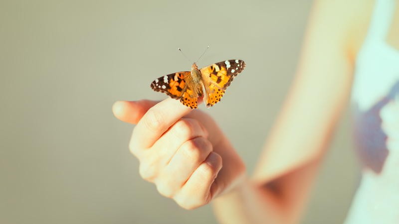 Nie zawsze szczęście marzy o tym, by spotkać człowieka.