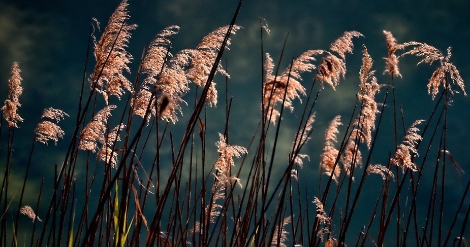 Człowiek nie pragnie na ziemi wiele. Chciałby tylko, aby to …