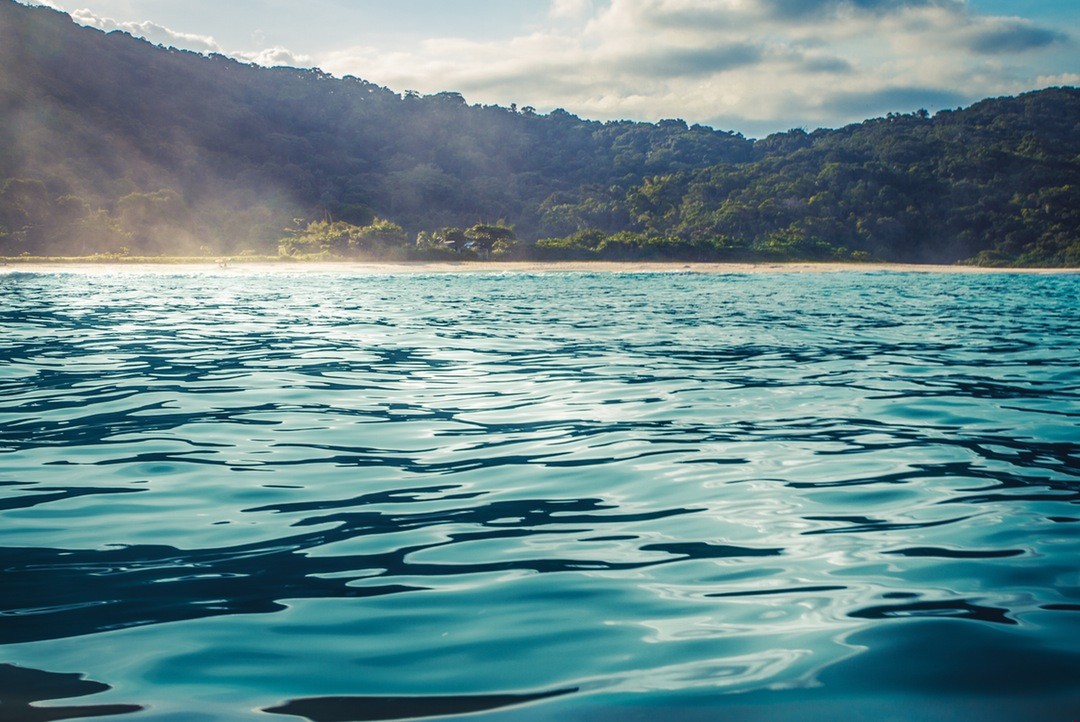 Twoja muzyka nie wiedzie ku muzyce, lecz ku temu, co …