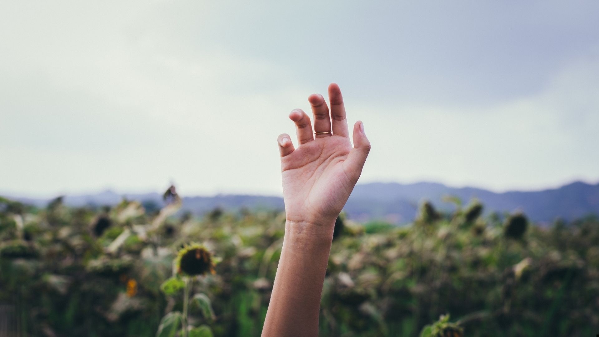 Nie odrzucaj pomocy, czyli dlaczego warto dać sobie pomóc