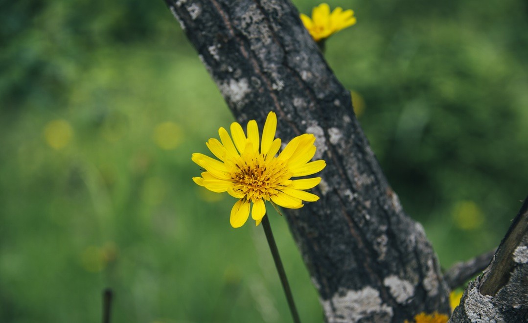 Ból nieznanego i dla mnie niepotrzebnego.