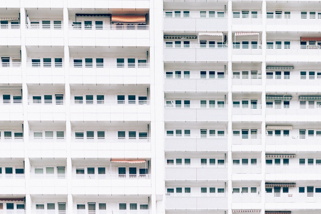 Nie chwytaj lamparta za ogon, ale jeśli chwyciłeś – nie …