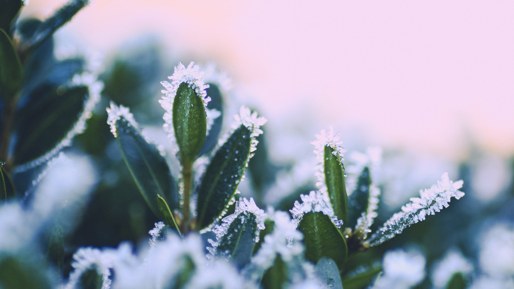 Zdjęcie Gwałtowne załamanie pogody w Polsce. Co nas czeka? #1