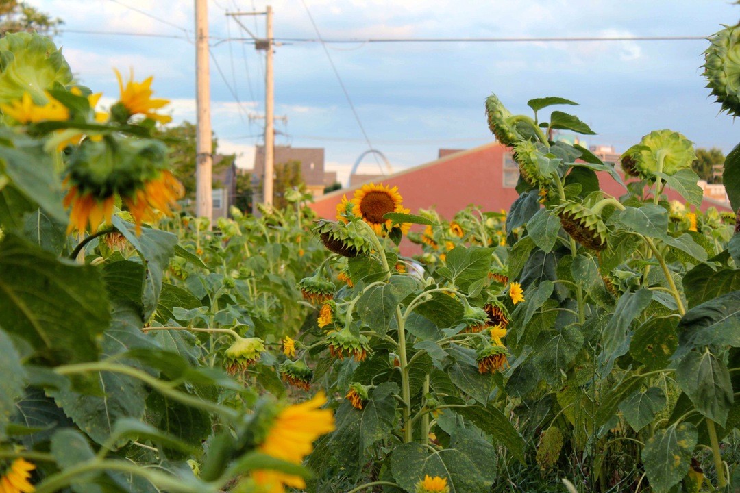 Lotników zawsze łączyła specyficzna więź, niezrozumiała dla nikogo spoza ich …