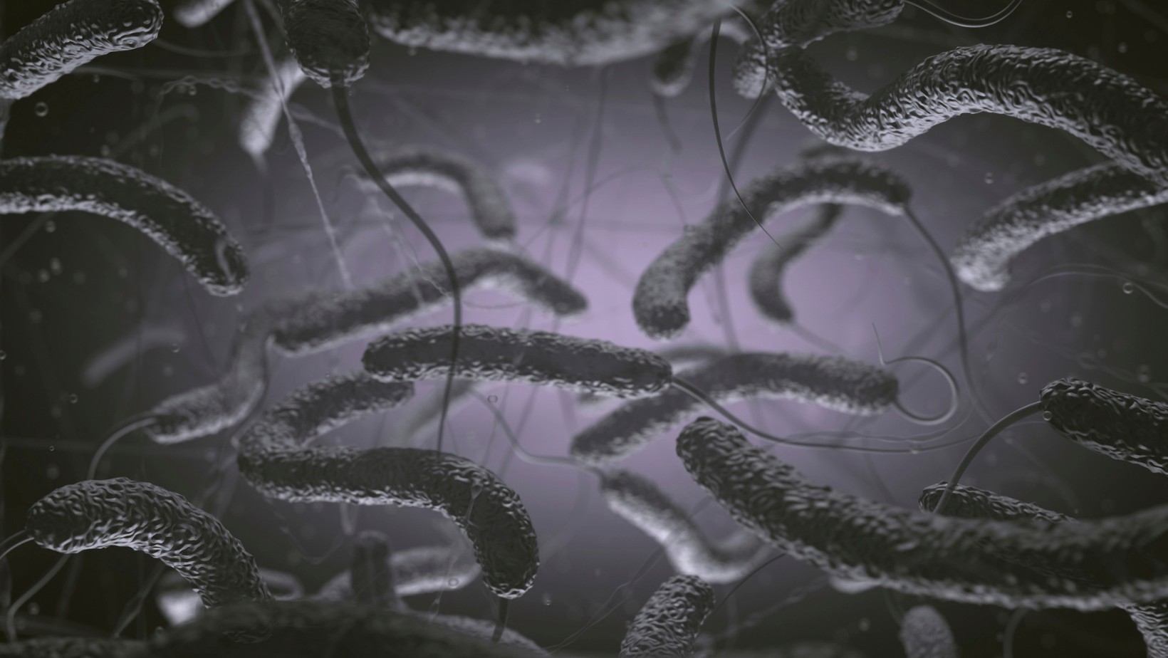 Wykryto groźną bakterię w Bałtyku. Jest ofiara śmiertelna