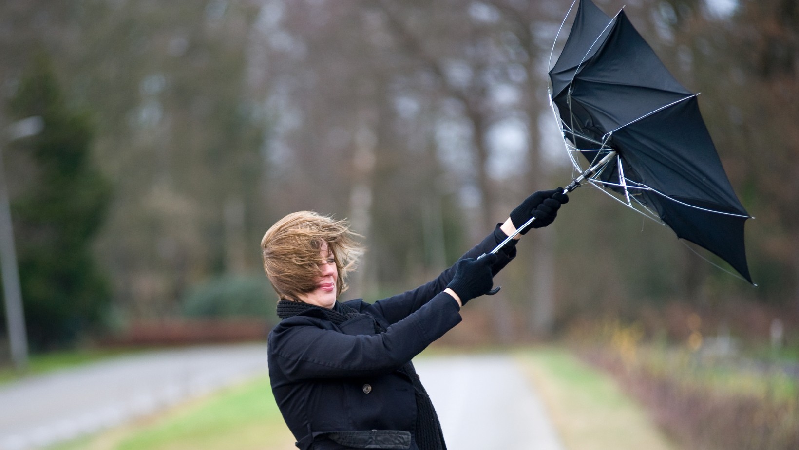 Nad Polskę nadciąga silna wichura! Alert RCB dla całego kraju!