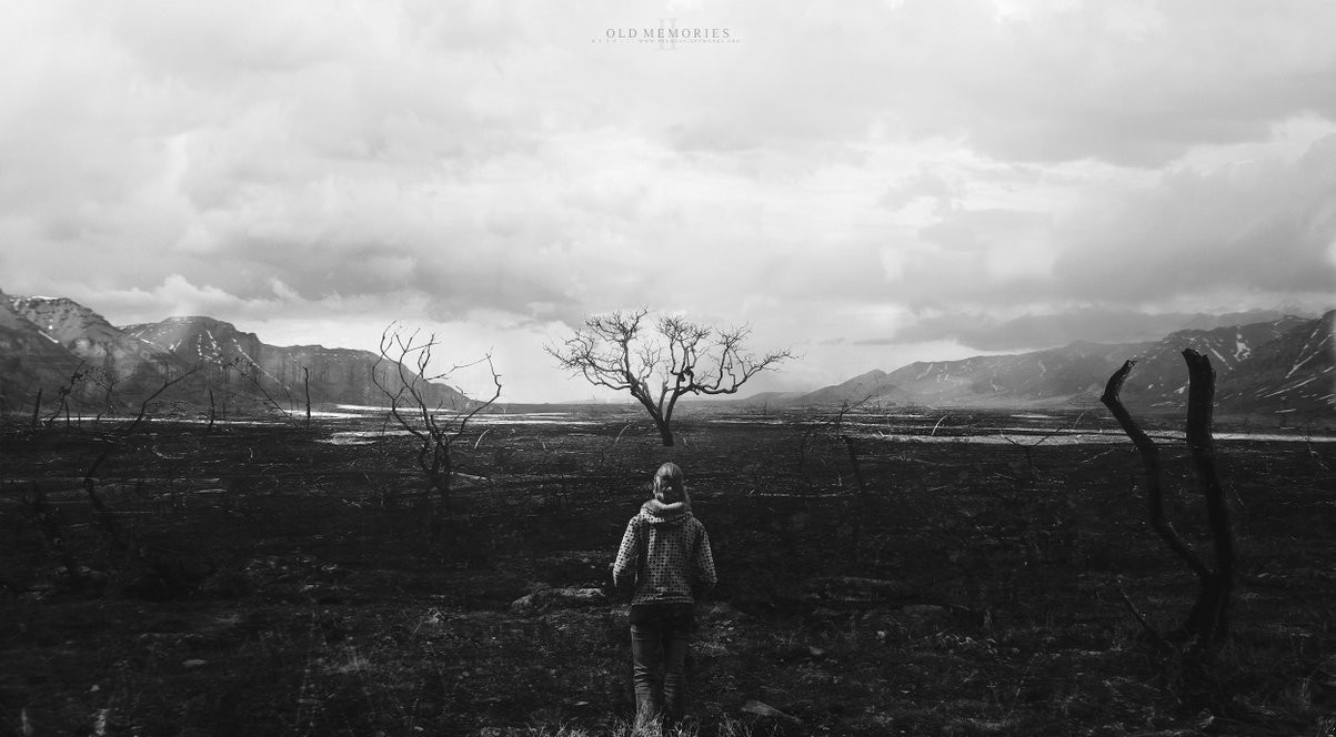 Dobrze, że nie ma człowieka bez wad, bo taki człowiek …